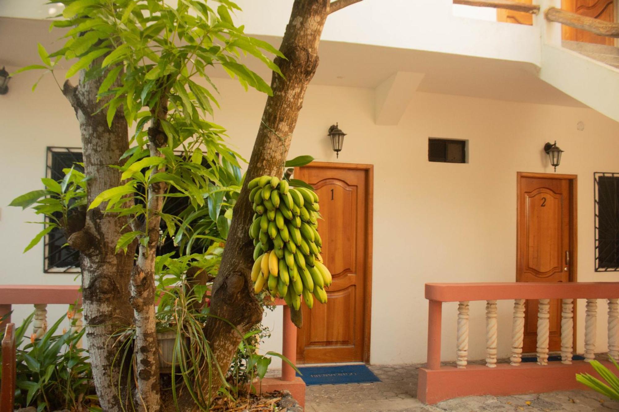 فندق Casa De Nelly بويرتو بكويريزو مورينو المظهر الخارجي الصورة