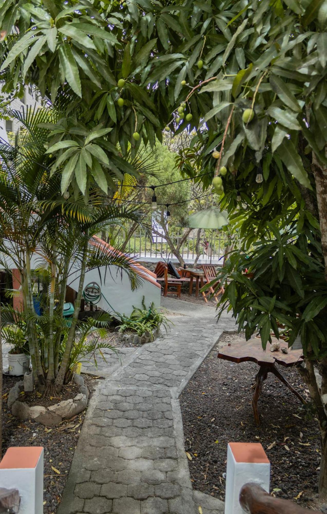 فندق Casa De Nelly بويرتو بكويريزو مورينو المظهر الخارجي الصورة